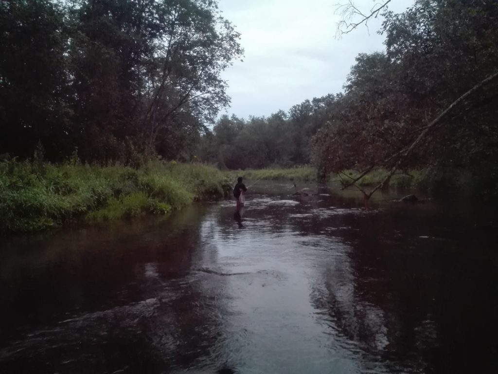 Žvejys vakaro upėje